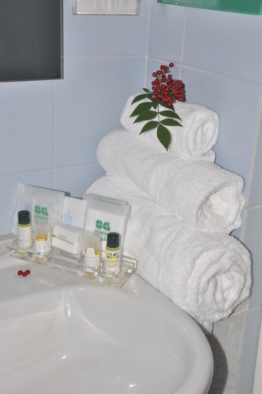 Green Hotel Poviglio  Habitación foto